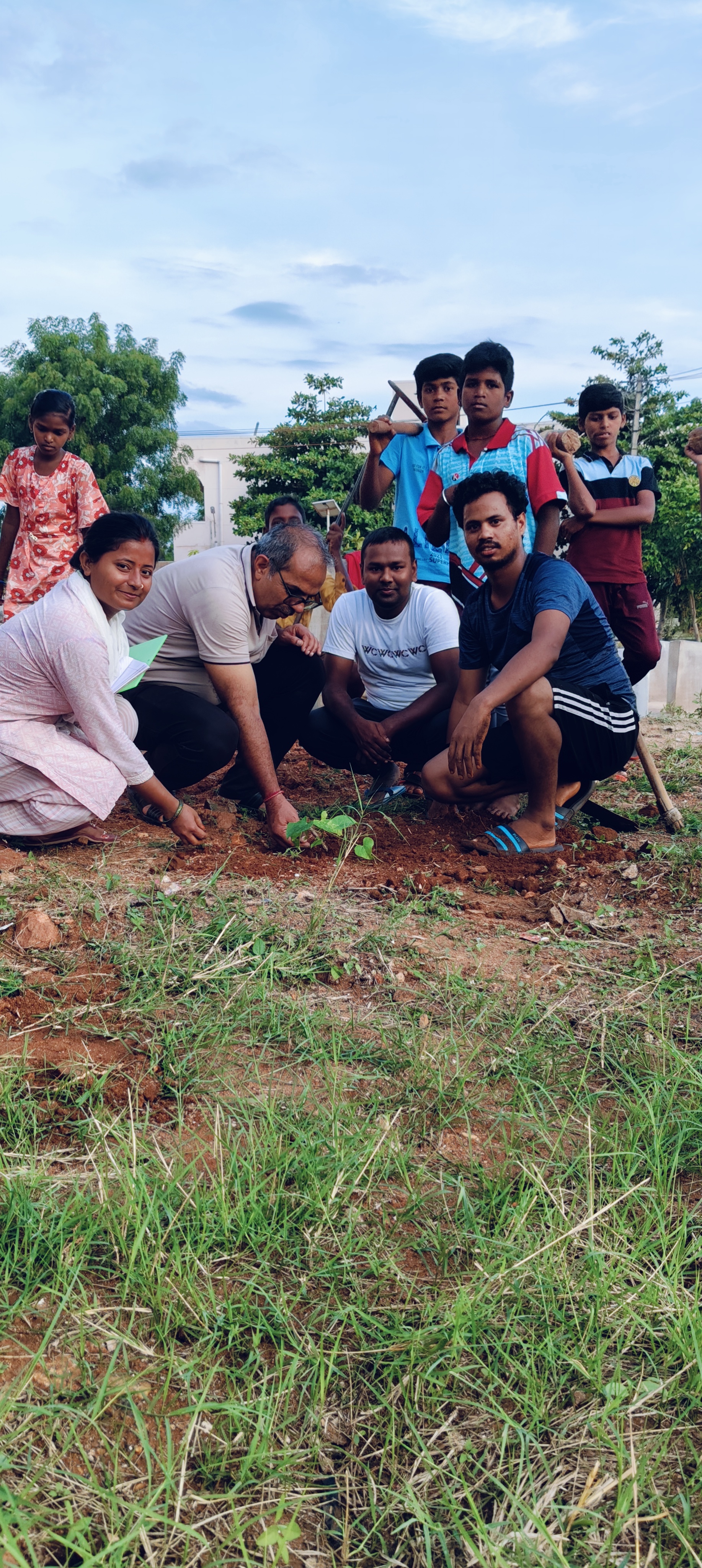 Tree Plantation in School Campus